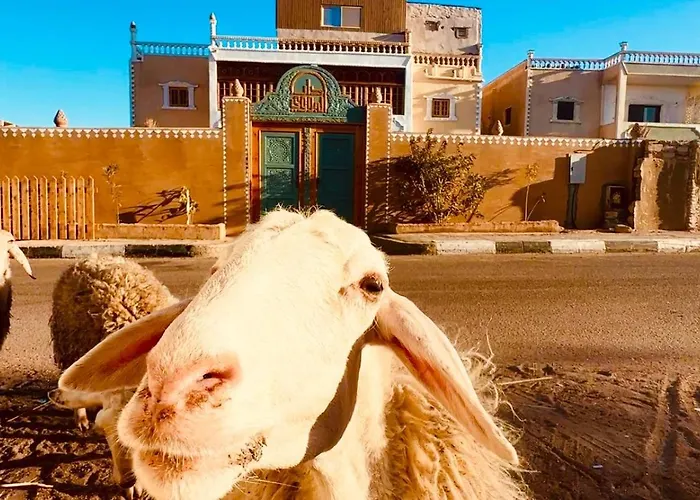 Bedouin Hostel- دار البدوي Hostel *