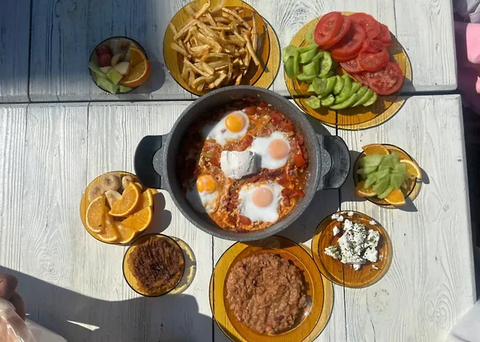 Bedouin Hostel- دار البدوي *