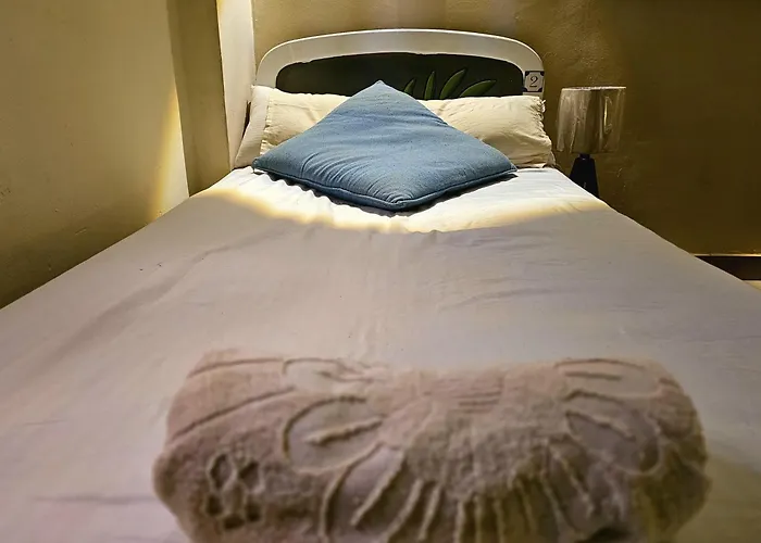 Bedouin Hostel- دار البدوي Hostel